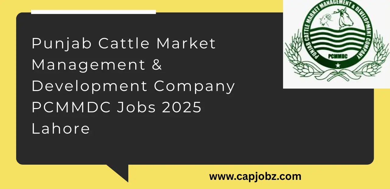 Punjab Cattle Market Management And Development Company PCMMDC Jobs 2025 Lahore